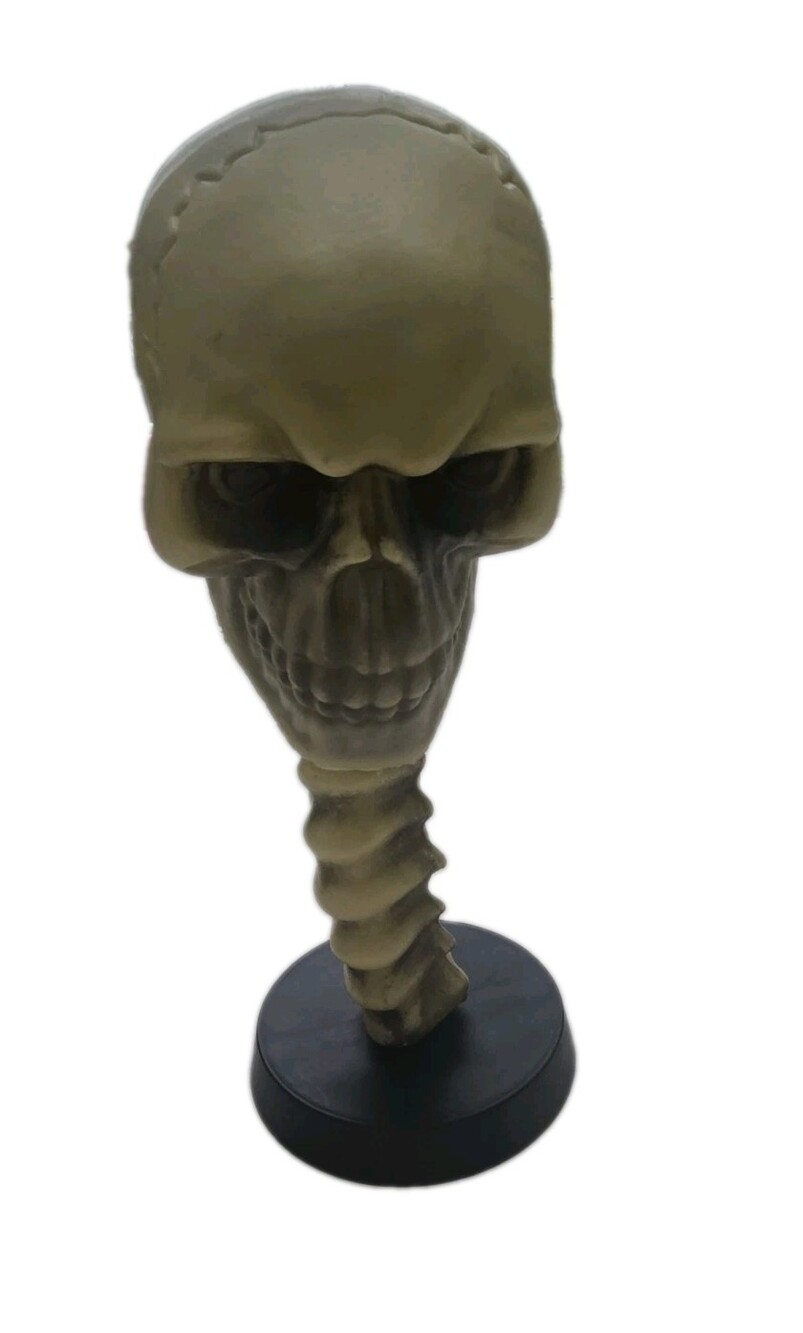 Vintage Skull & Spine Sculpture on Black Base, Gothic, Skeleton 10 In Long